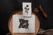 Midnight Garden flowers set, an Object Illustration by RaDavCrafts (Thumbnail 9 of 10)