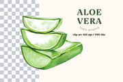 Alo Vera Green, a Healthcare Illustration by 7nov.studio (Thumbnail 2 of 2)