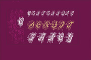 Centennial Script Fancy PACK, a Blackletter Font by Intellecta Design (Thumbnail 1 of 5)