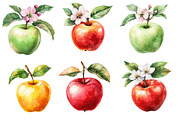 Watercolor Apples Floral Clipart, an Illustration by Designworld (Thumbnail 5 of 6)