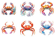 Watercolor Crab Clipart, an Illustration by Designking (Thumbnail 5 of 5)