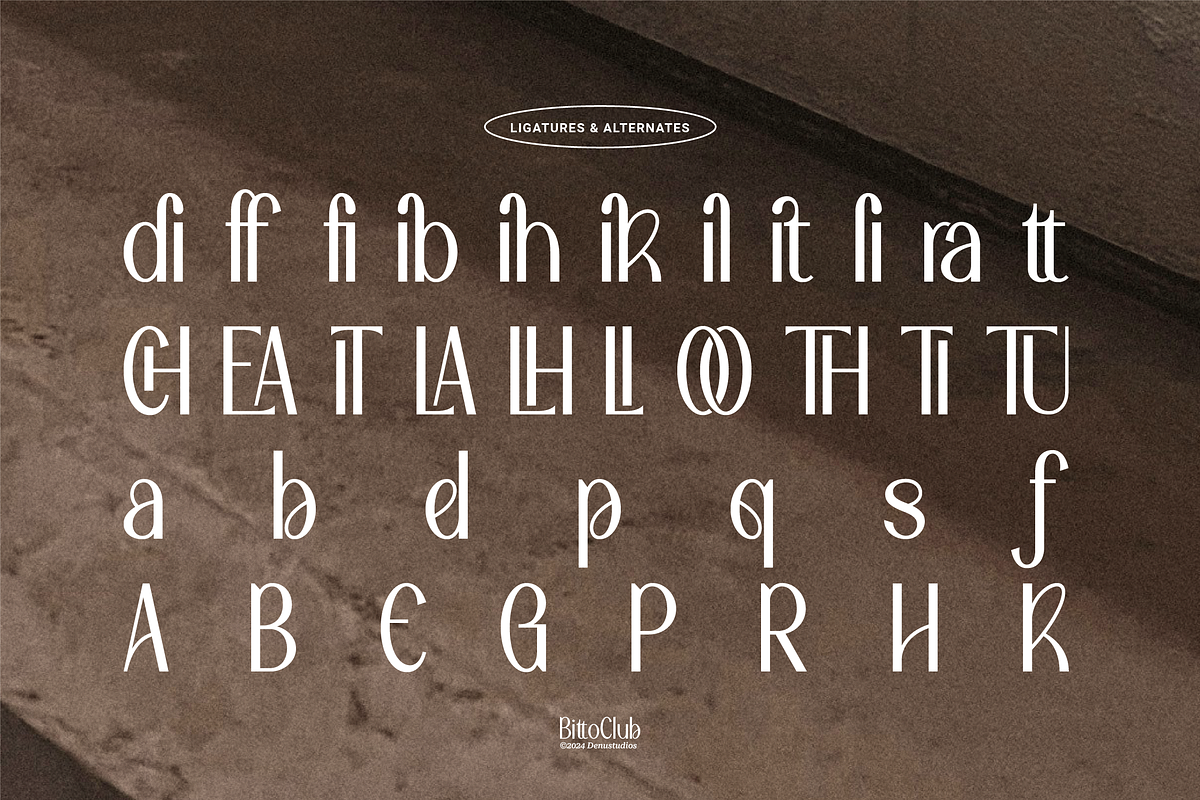 Bitto Club | Modern Sans Serif, a Slab Serif Font by Denustudios (Photo 13 of 14)