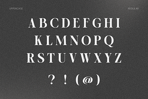 OV Cotin Serif Font Family