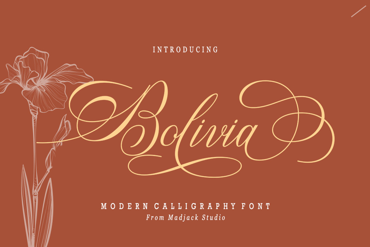 Bolivia Script, a Script Font by Madjack.font (Photo 9 of 9)
