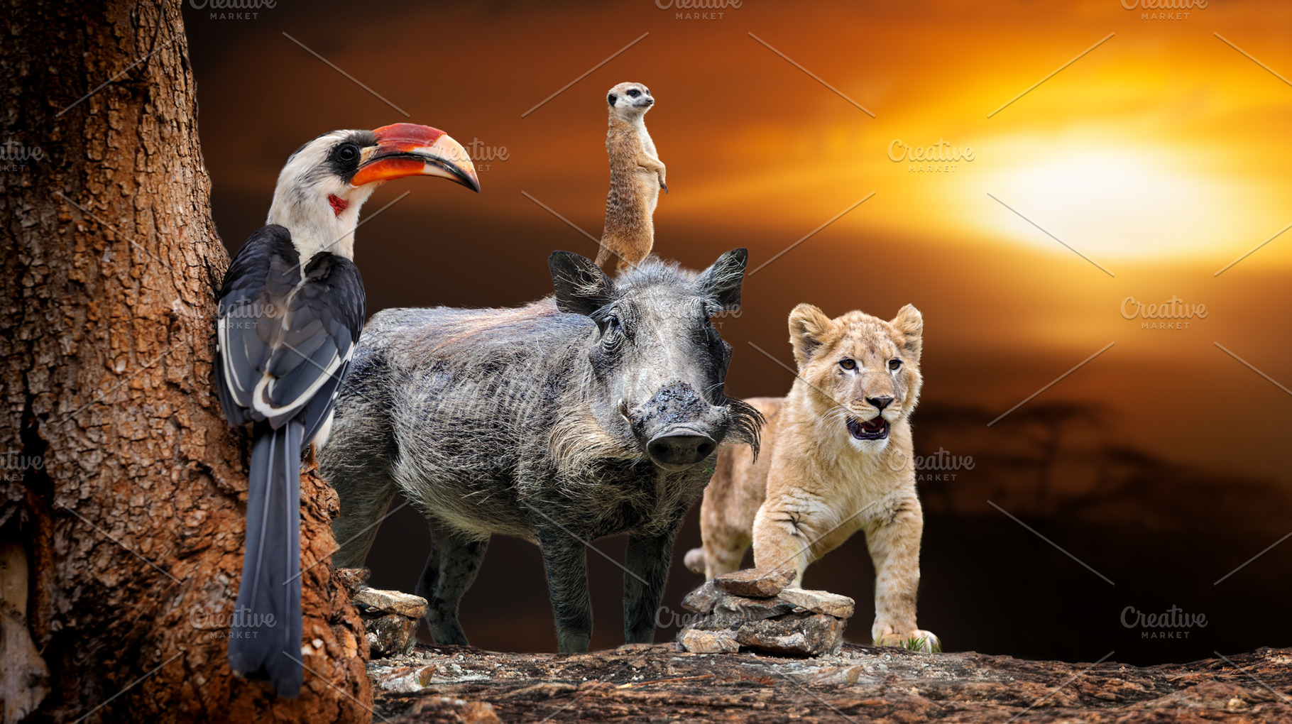 African animals lion, hornbill, meerkat, warthog on savanna suns, a Background Photo by Byrdyak