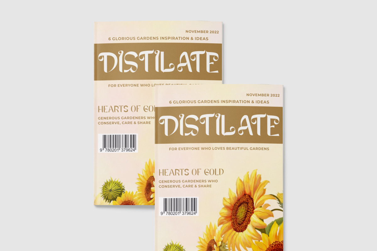 Agasiz - Modern Display Font, a Sans Serif Font by PutraCetol Studio (Photo 2 of 11)
