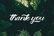 Belligerent Script Style, a Script Font by Typevora Studio (Thumbnail 8 of 8)