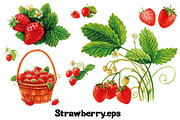 Fruits and berries collection_part 1, an Illustration by ZotovShop (Thumbnail 8 of 20)