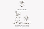 antique clipart graphite set, a Decorative Illustration by Pink Studio Art (Thumbnail 7 of 11)