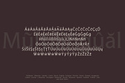 Victoria Avenue & Extras, a Serif Font by Design 265 (Thumbnail 5 of 6)
