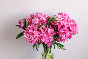 Pink peonies.