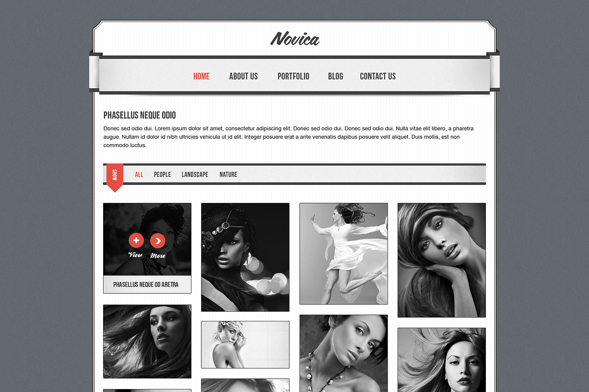 Novica PSD template, a Websites & App Template by cssmania (Photo 3 of 5)