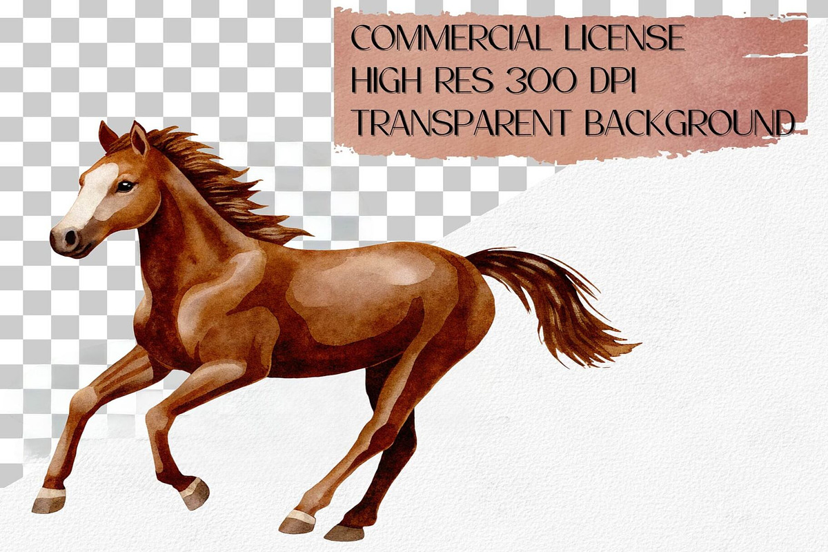 Watercolor Horse Clipart Set, 38 PNG, an Animal Illustration by CropUp Creative (Photo 4 of 4)