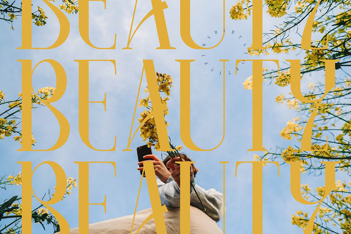 Camaroon Megalord Serif Display Font, a Serif Font by Storytype Studio (Photo 9 of 15)
