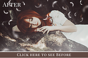 Flying Feathers photo overlays, an Object Graphic by BrownLeopard (Thumbnail 5 of 6)