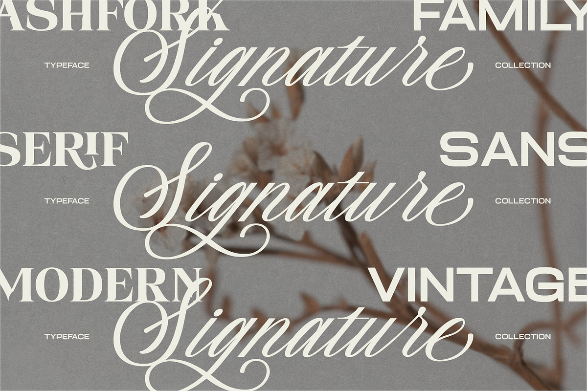 Sunday Richmark Serif Script Family, a Sans Serif Font by din-studio.com (Photo 2 of 16)