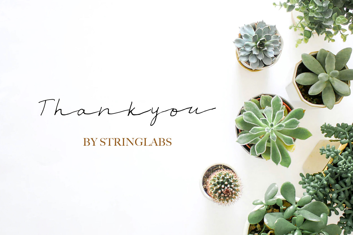 Moriana - Handwritten Script Font, a Script Font by StringLabs (Photo 5 of 5)