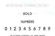 Basicaline Font Family - Sans Serif, a Sans Serif Font by RC graphics (Thumbnail 14 of 21)