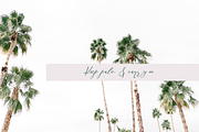 Palm Desert Modern Calligraphy Font, a Script Font by Beck McCormick (Thumbnail 9 of 10)