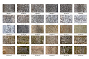 30 Tree Bark Textures HQ, a Texture Graphic by CCPreset (Thumbnail 2 of 2)
