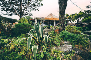Garden with wagon wheel and agave, an Architecture Photo by SkyNext