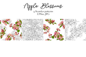 Apple Blossoms