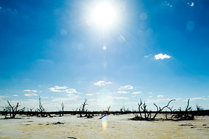 Hot Sun On Empty Salt Lake, a Nature Photo by THP Creative