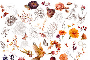 Watercolor autumn flowers bundle art, a Decorative Illustration by Edith’s World (Thumbnail 6 of 9)