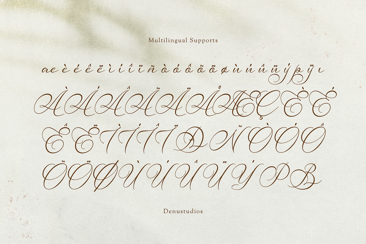 Van Marigella | Classic Calligraphy, a Script Font by Denustudios (Photo 11 of 12)