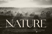 Grayson Elegant Serif Font Typeface, a Serif Font by Perfectype (Thumbnail 9 of 10)