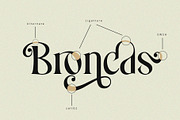 Costa Nova || display Ligature serif, a Serif Font by ToniStudio (Thumbnail 2 of 12)
