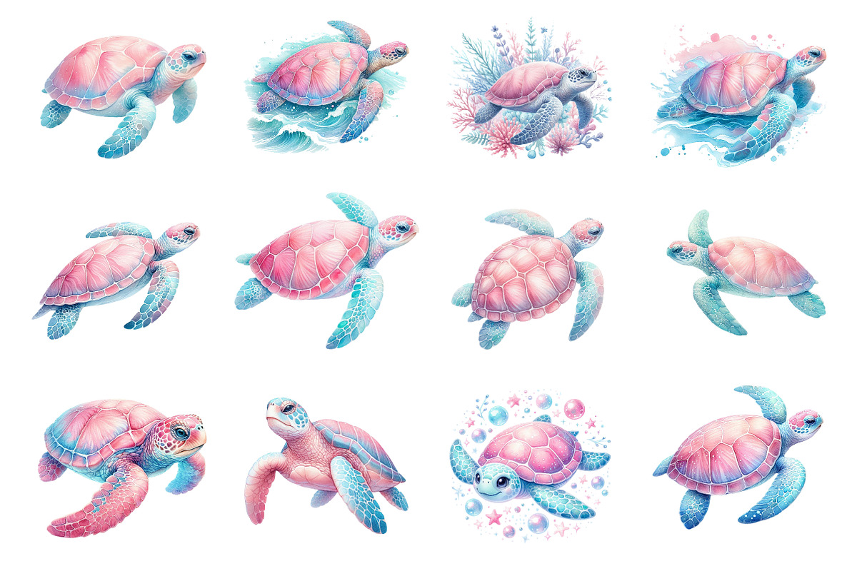 Coastal Sea Turtle Clipart, an Illustration by Dream Creation (Photo 2 of 6)