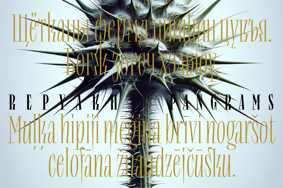 Repyakh Serif type family, a Serif Font by LevType (Photo 6 of 14)