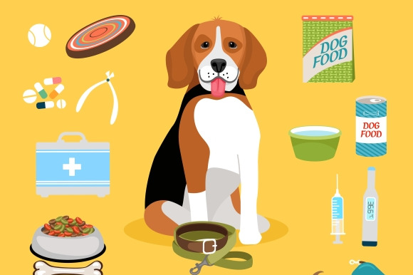 Dog Life Icons