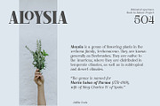 Julitho Fonts Family, a Serif Font by Asenbayu (Thumbnail 10 of 13)