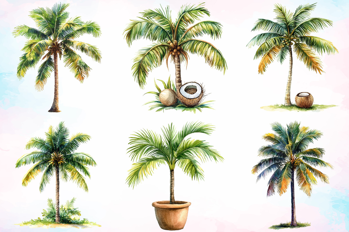 Watercolor Coconut Tree Clipart PNG, an Illustration by Canvas Craft (Photo 2 of 4)