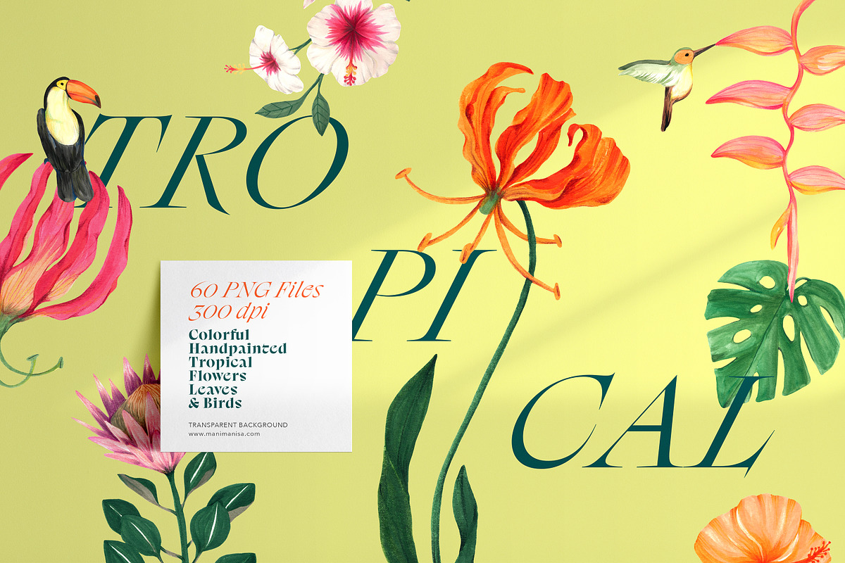 Tropical Summer Flowers, an Illustration by Manimanisa (Photo 2 of 9)