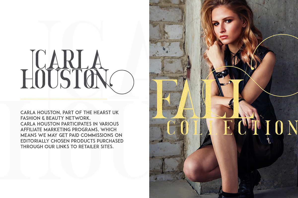 Golden Bird Serif font + Cool Extras preview 5