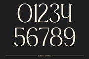 CS Giova – Art Nouveau Font, a Serif Font by Craft Supply Co. (Thumbnail 3 of 8)