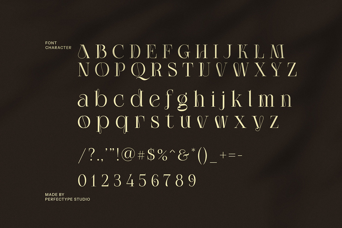 Alegro Unique Serif Font, a Serif Font by Perfectype (Photo 8 of 8)