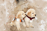 Personalized Digital Pet Portraits, an Action Add-On by MRI STUDIO (Thumbnail 9 of 13)
