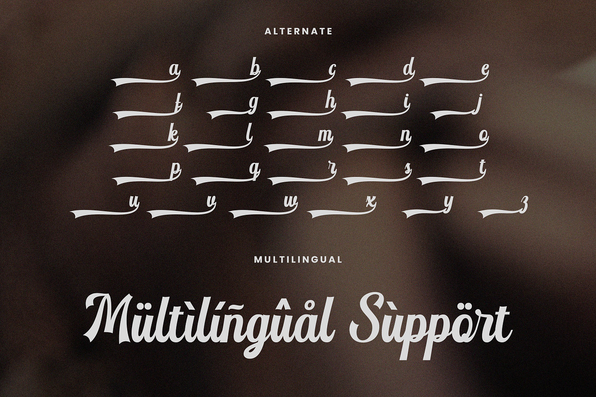 Detourne - Baseball Font, a Script Font by Flawless And Co (Photo 9 of 10)