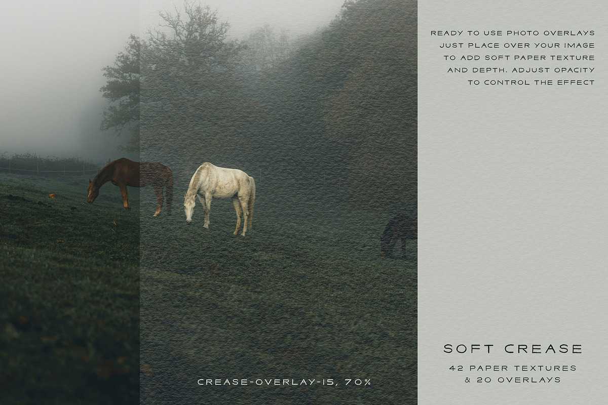Crease - Paper Textures & Overlays, a Texture Graphic by alonahaidash (Photo 14 of 15)