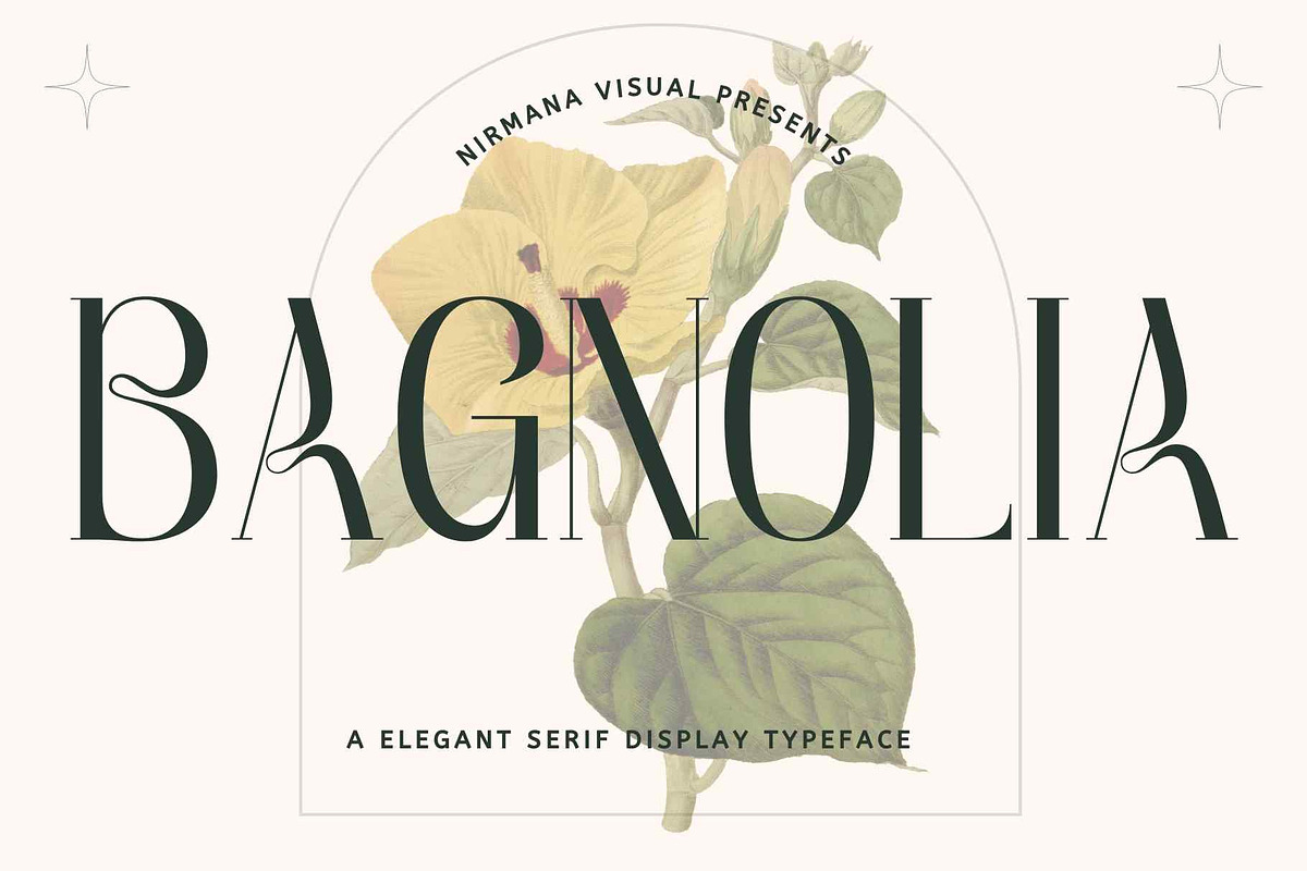 Bagnolia - Serif Display, a Serif Font by Nirmana Visual (Photo 1 of 11)
