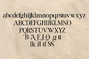 LACOSTE foliage, a Serif Font by Gatype (Thumbnail 8 of 9)