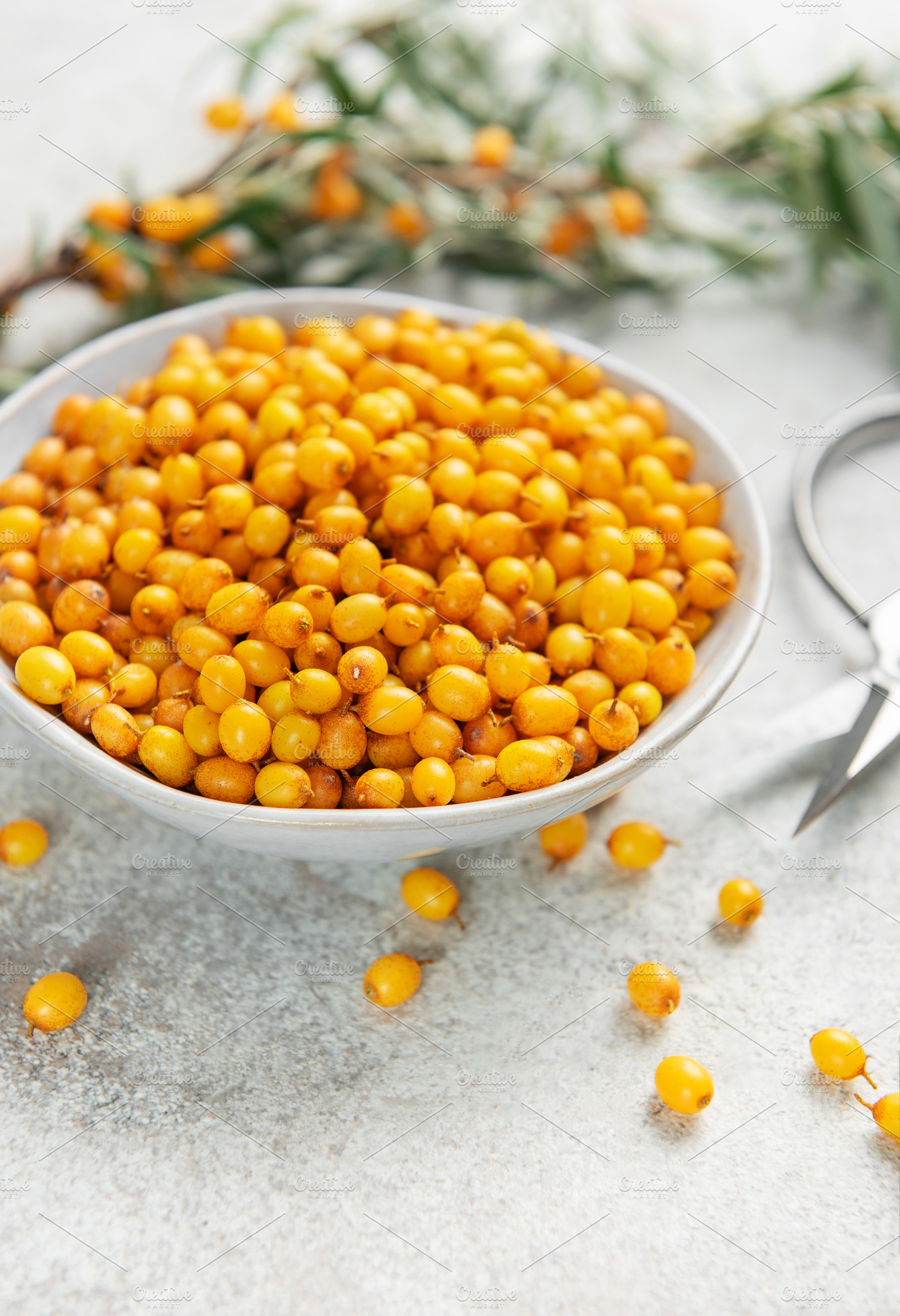 Sea buckthorn berries in bowl ready for harvest, a Food & Drink Photo by Olena Rudo