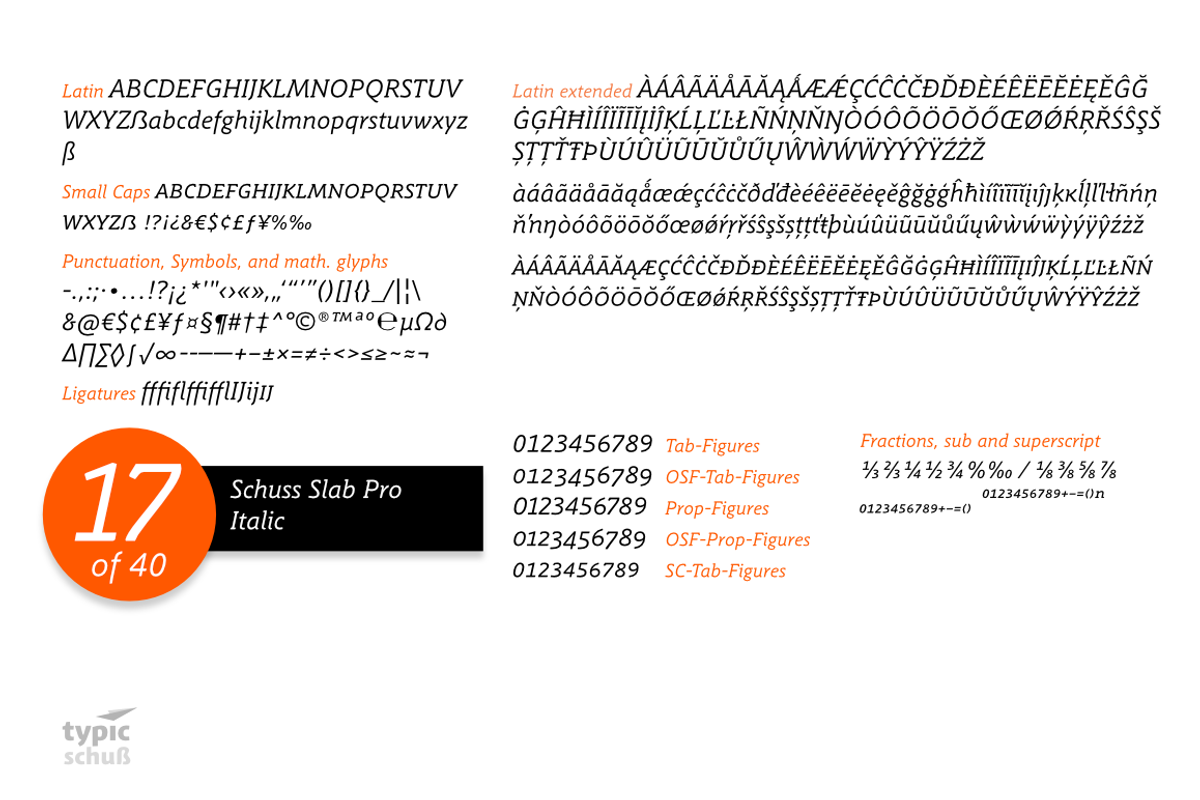 SchussSlabProItalic No.17 (1 Font) preview 4