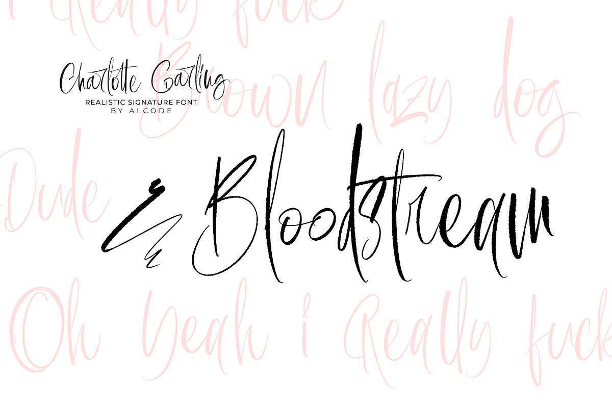Charlotte Garling, a Script Font by Alcode (Photo 9 of 15)