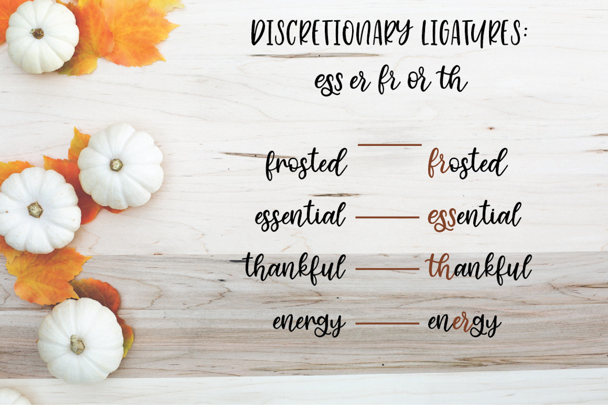 Cinnamon Sugar Script Font preview 8