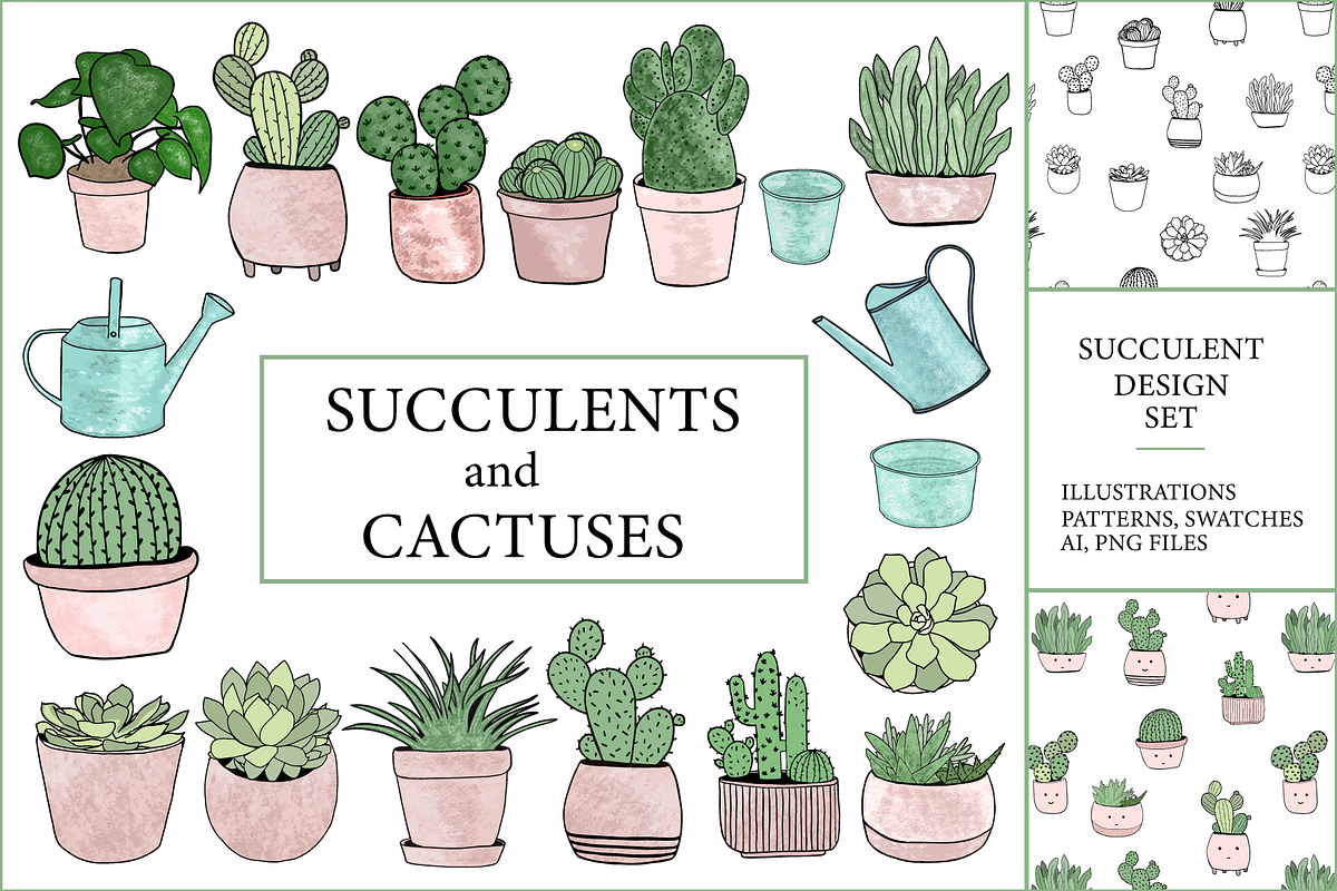 Succulents & cactuses illustrations, a Decorative Illustration by bigmomentsdesign (Photo 2 of 8)